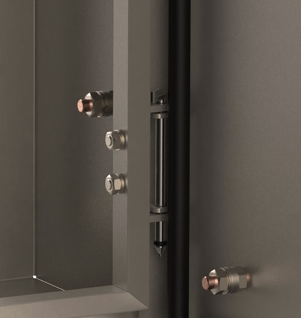 Петли из нержавеющей стали уникальной конструкции. Перенавешиваемая дверь.